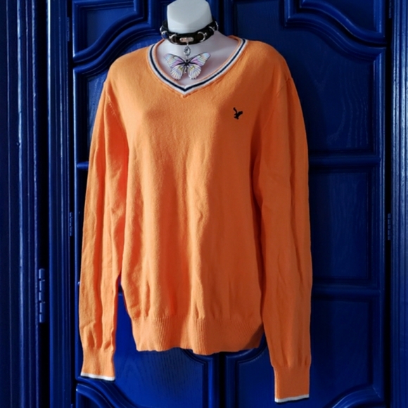 Orange V Neck Sweater American Eagle Outfitters - Picture 2 of 16